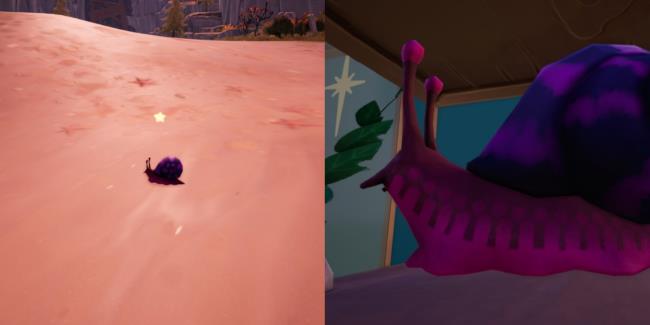 帕利亚：在哪里可以抓到一只条纹蜗牛