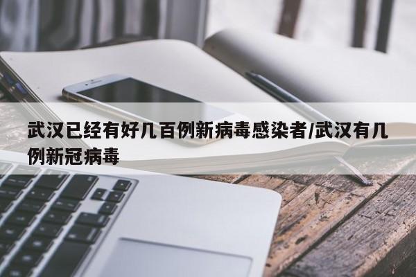 武汉已经有好几百例新病毒感染者/武汉有几例新冠病毒
